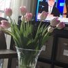 lisaallison1